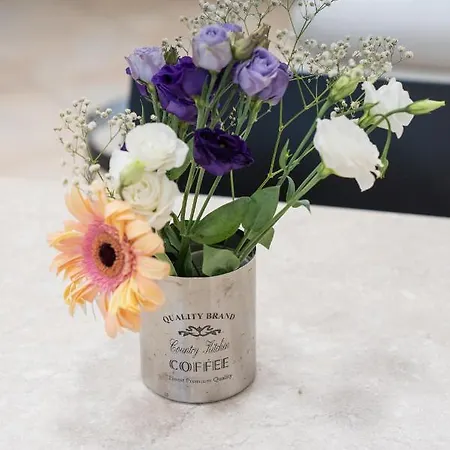 Bb Domus Frühstückspension