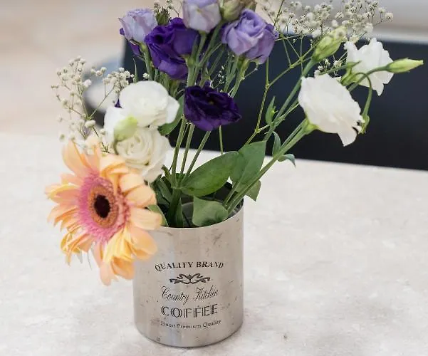 Bb Domus לינה וארוחת בוקר